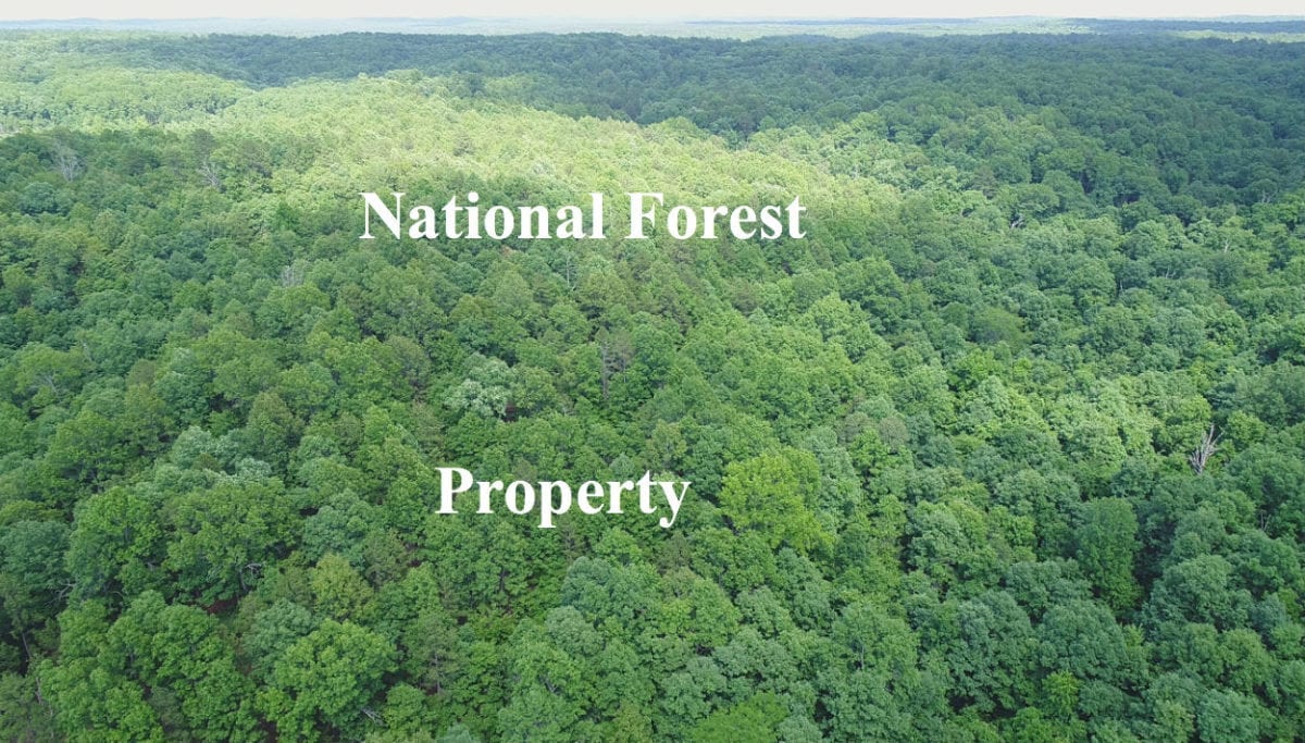 Nice acreage ON National Forest and County Road IDPG06